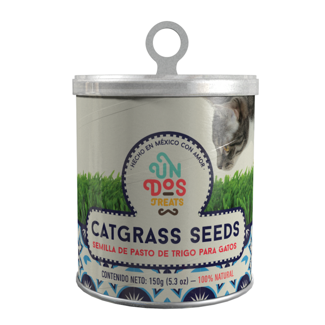 Un Dos Treats Cat Grass Seeds Pasto De Trigo Para Gatos