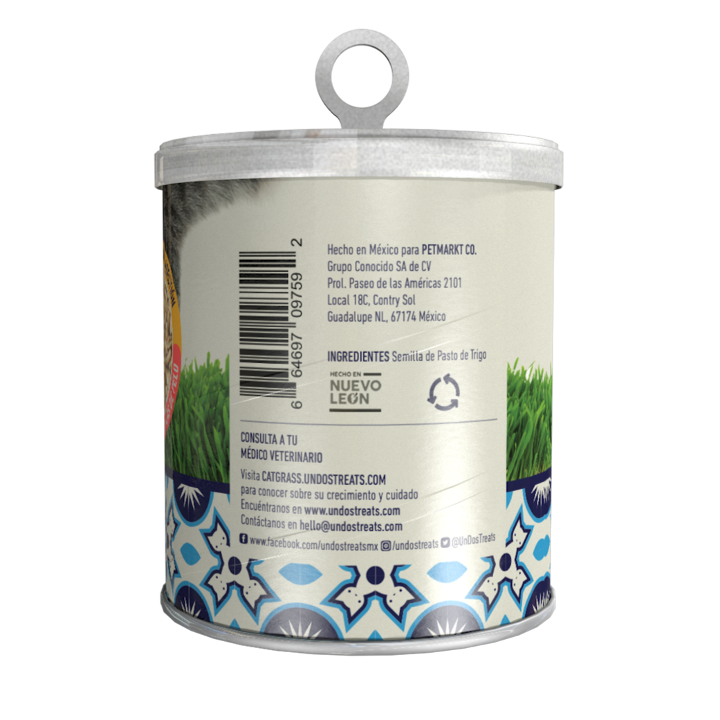 Un Dos Treats Cat Grass Seeds Pasto De Trigo Para Gatos