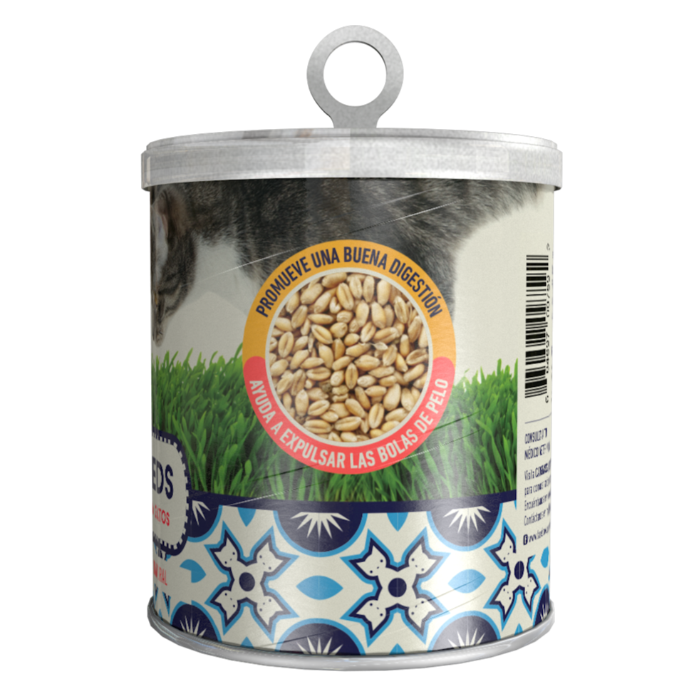 Un Dos Treats Cat Grass Seeds Pasto De Trigo Para Gatos