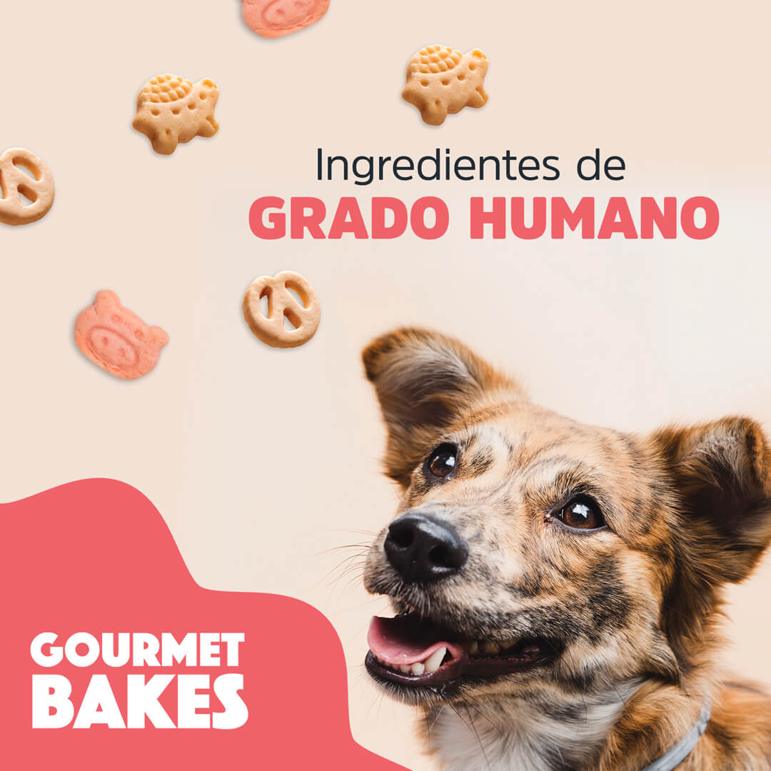 Premios para perro Gourmet Bakes Trick & Treats, ideales para consentir y entrenar. Para razas chicas y medianas. Galletas horneadas sabor Pay de manzana 150 g. Ingredientes grado humano.