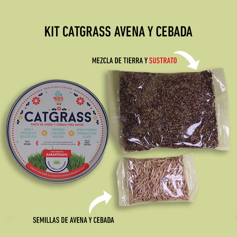 Pasto de avena y cebada para gato Cat Grass Mix Un Dos Treats. Producto apto para perros, aves, reptiles y pequeños roedores.