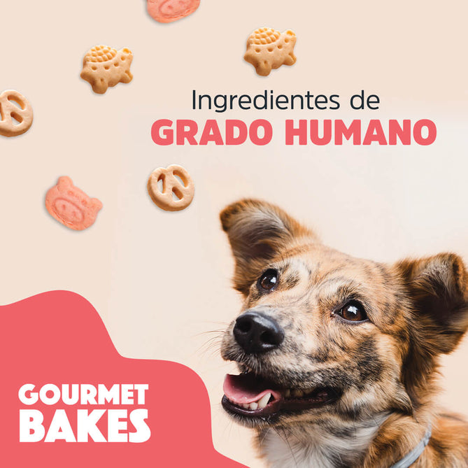 Premios para perro Gourmet Bakes Trick & Treats , ideales para consentir y entrenar. Para razas chicas y medianas. Galletas horneadas sabor Cerdo Agridulce 150 g. Ingredientes grado humano.