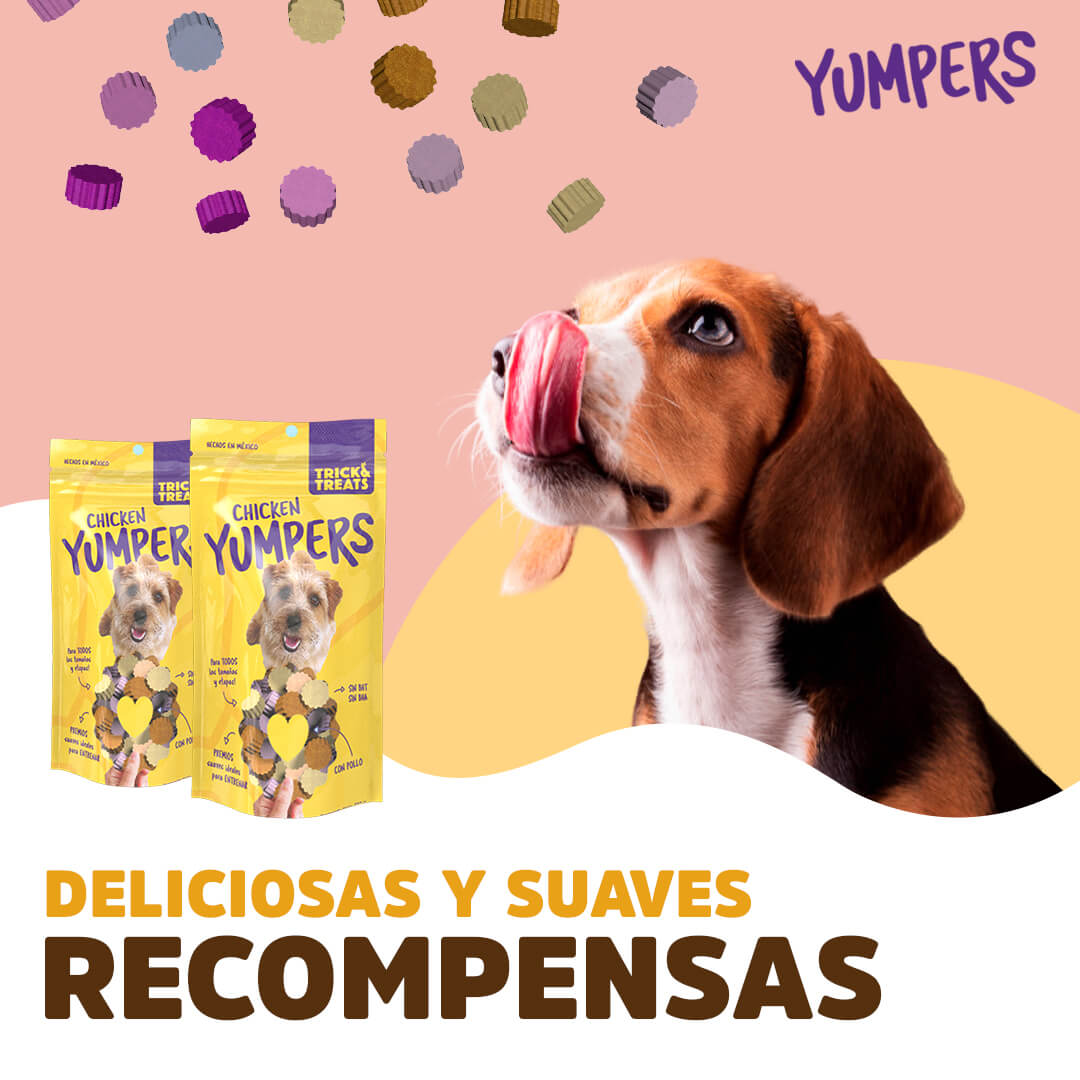 Premios para perro Yumpers Trick & Treats, premios suaves para consentir y entrenar. Para todas las razas. Sabor Pollo 100 g.