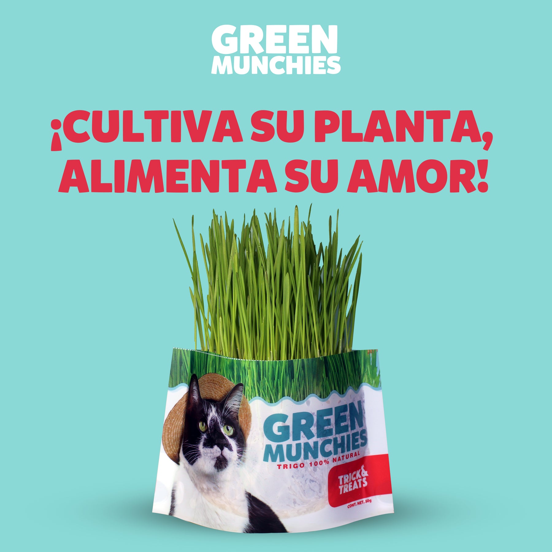 Pasto de trigo para gatos Green Munchies Trick & Treats, 100% Natural para consentir y premiar a tu gato, 50 g.