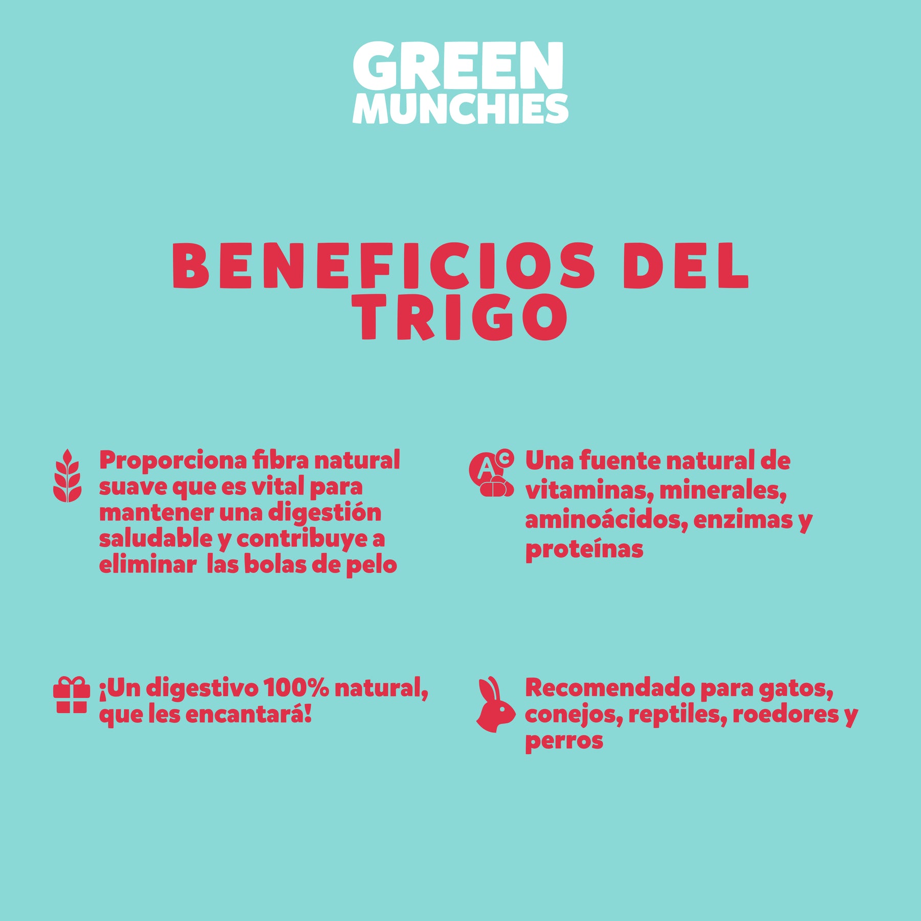 Pasto de trigo para gatos Green Munchies Trick & Treats, 100% Natural para consentir y premiar a tu gato, 50 g.