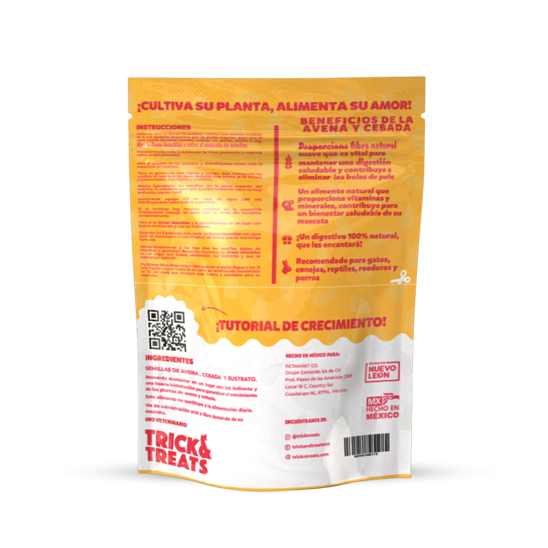 Pasto de Avena y Cebada para gatos Green Munchies Trick & Treats, 100% Natural para consentir y premiar a tu gato, 50 g.