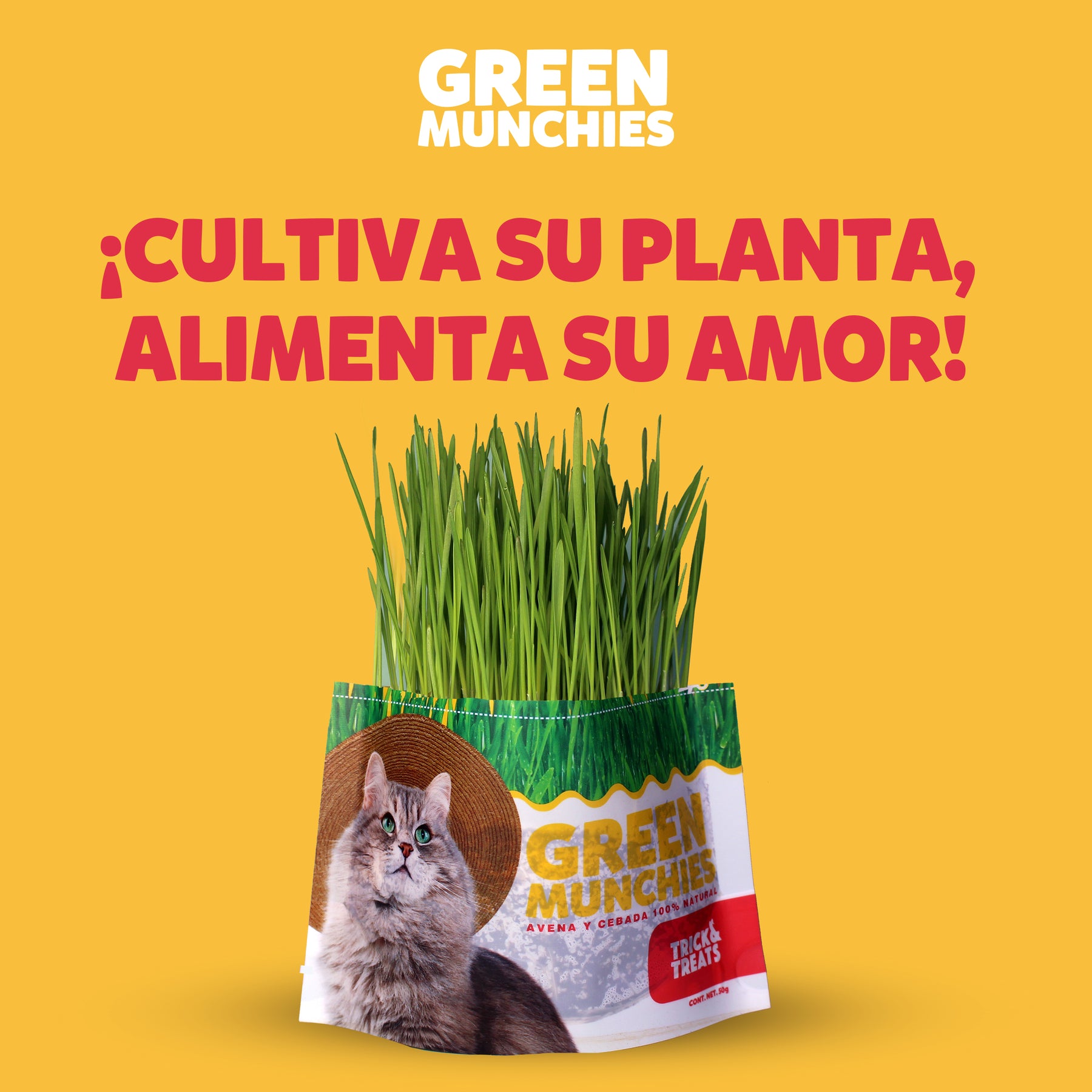 Pasto de Avena y Cebada para gatos Green Munchies Trick & Treats, 100% Natural para consentir y premiar a tu gato, 50 g.