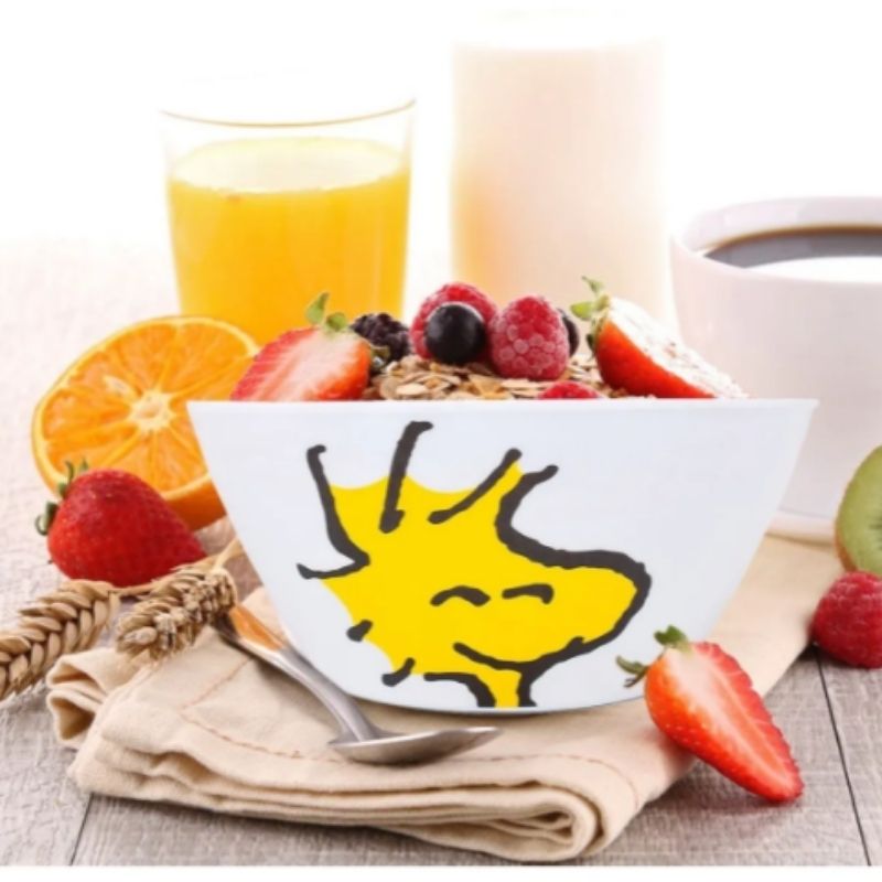 Fun Kids 1725-316/318E Vajilla Melamina Snoopy Charlie Brown 4 Personas 12 Piezas