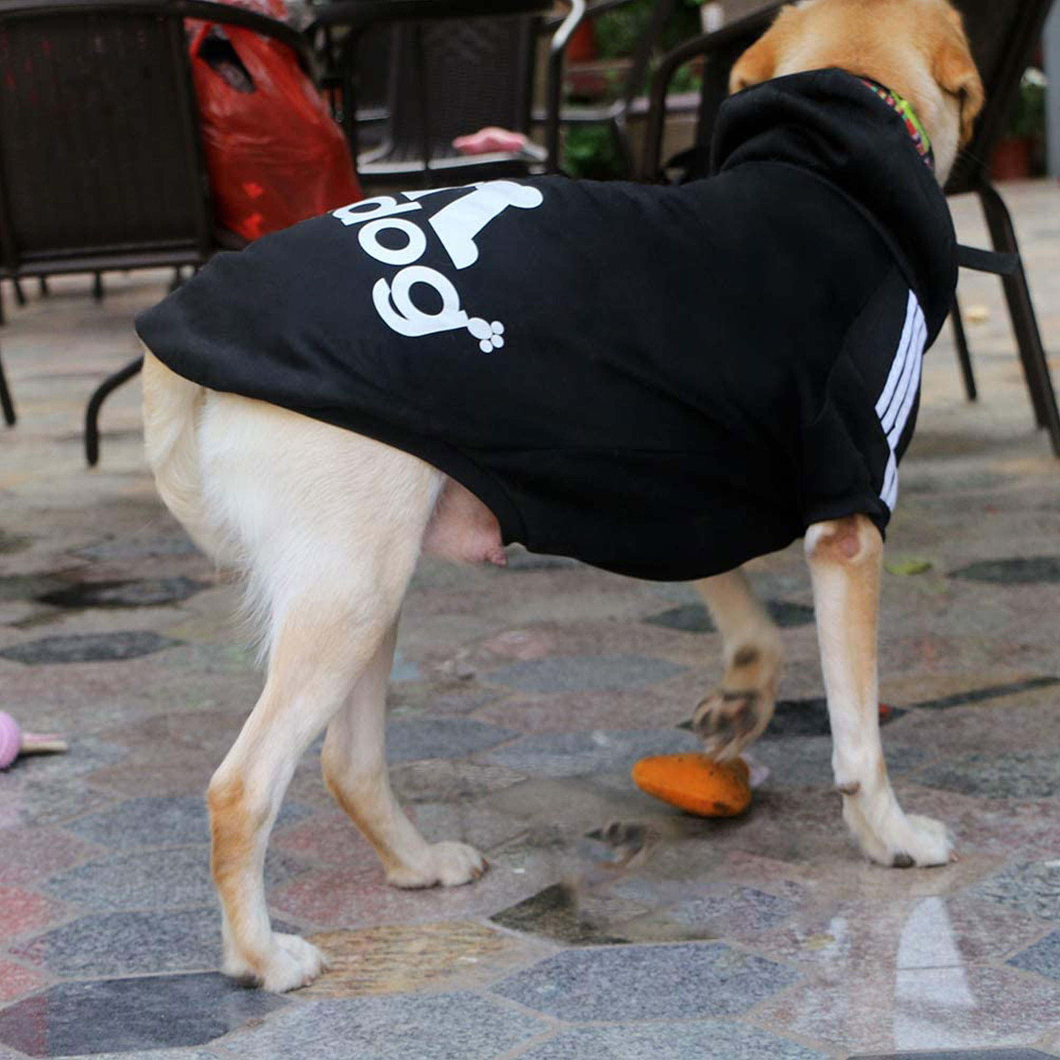 Sudadera Ropa Suéter Completo Para Perro Gato 3xl-7xl