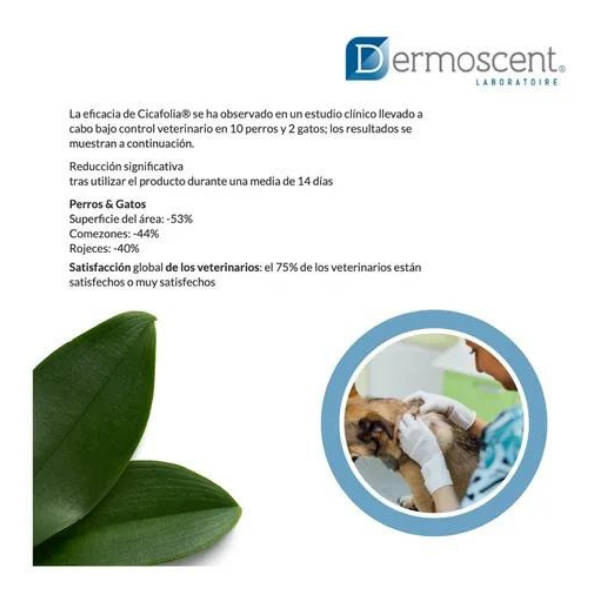 Unguento Regenerador D/piel Perro 30 Ml,dermoscent Cicafolia