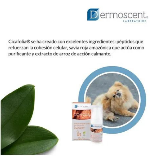 Unguento Regenerador D/piel Perro 30 Ml,dermoscent Cicafolia