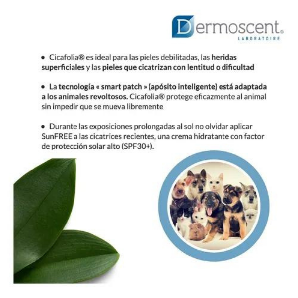Unguento Regenerador D/piel Perro 30 Ml,dermoscent Cicafolia