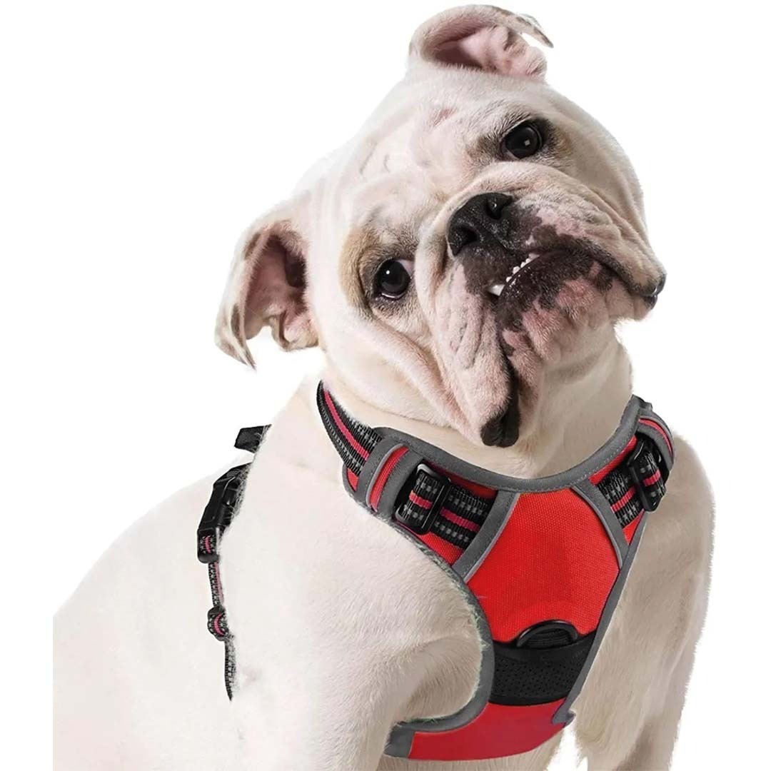 Pechera Arnés Muy Resistente Para Perro Grande