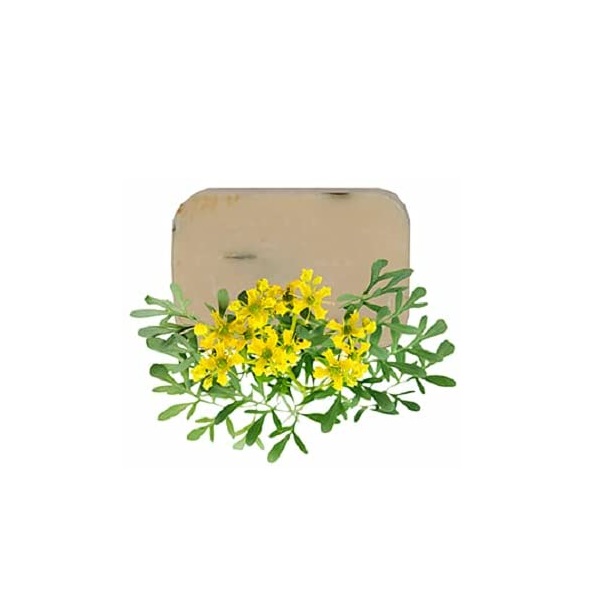 Jabon Artesanal , 100% natural de Ruda, hierbas, esencias, limpieza, spa, piel, natural, tocador, baño, spa, relajacion, hierbas