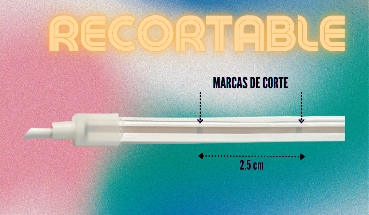 Tira Led Neón Flex con Eliminador y Controlador Unicolor Decorativa 5 Metros Anti Agua DOSYU