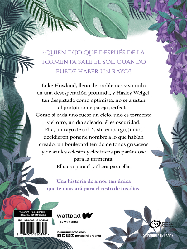 Boulevard. La Versión de Flor Salvador