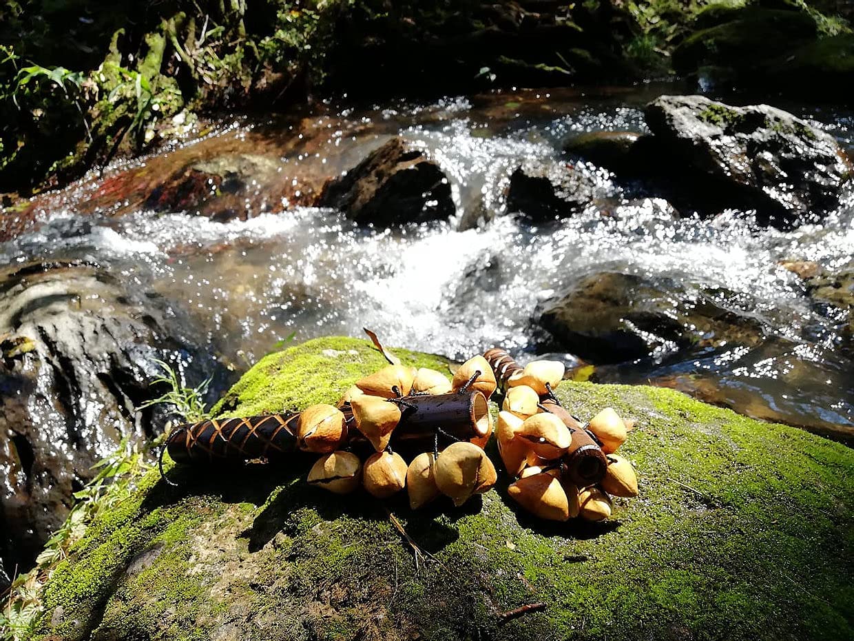 Sonajas Chamanica Ayoyotl cascabel azteca, instrumento, musica, naturaleza, sonidos, indigenas, artesania, mayas, aztecas