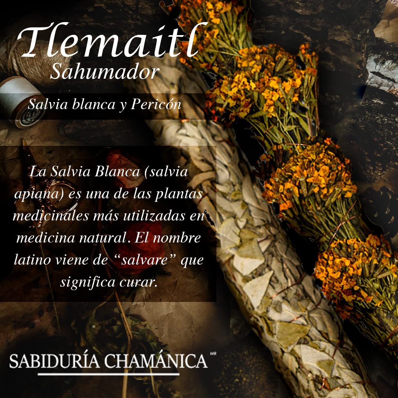  Incienso Sahumador Tlemaitl Purificador de Espacios Hierbas sagradas, Salvia, Incienso, sahumador, Limpia, esencias, Hierbas, sahumerio