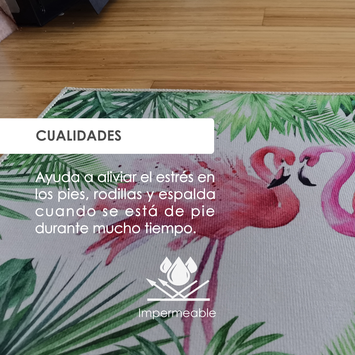 Tapete de Cocina Antideslizante Impermeable de 40 x 60 cm (Tropical)