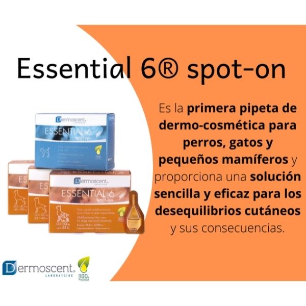 Dermoscent Essential 6 Spot-on Perro Cuidado De Piel 10-20kg