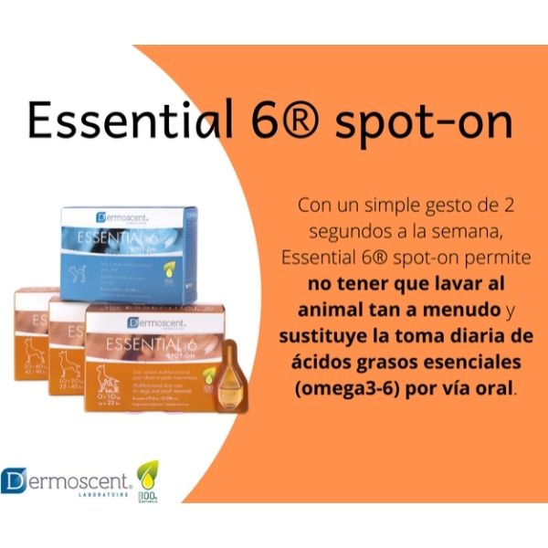 Dermoscent Essential 6 Spot-on Perro Cuidado De Piel 10-20kg