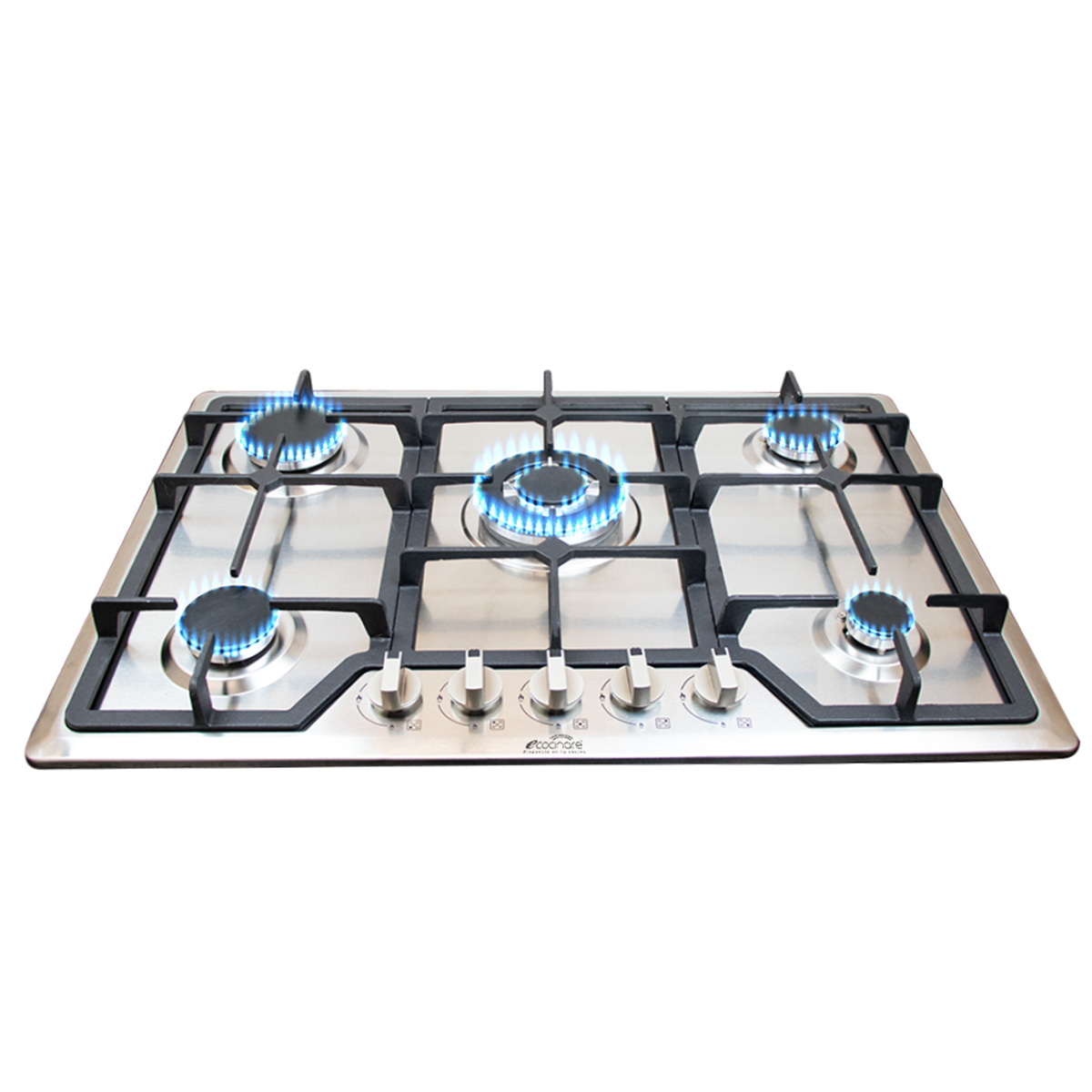 Parrilla A Gas Lp y Gas Natural Plateada Acero Inoxidable 5 Quemadores 120v