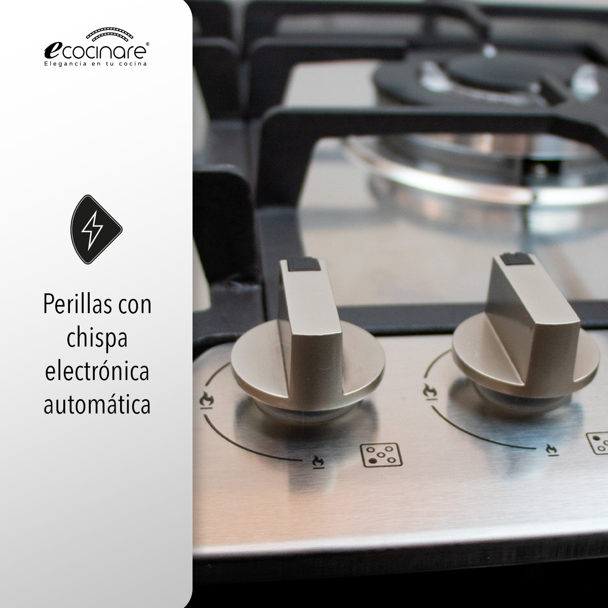 Parrilla A Gas Lp y Gas Natural Plateada Acero Inoxidable 5 Quemadores 120v