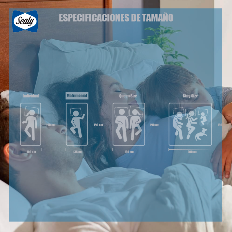Colchón y Box Matrimonial Sealy Lugo Pontevedra Con Mega Colchoneta Memory Foam Descanso Premium