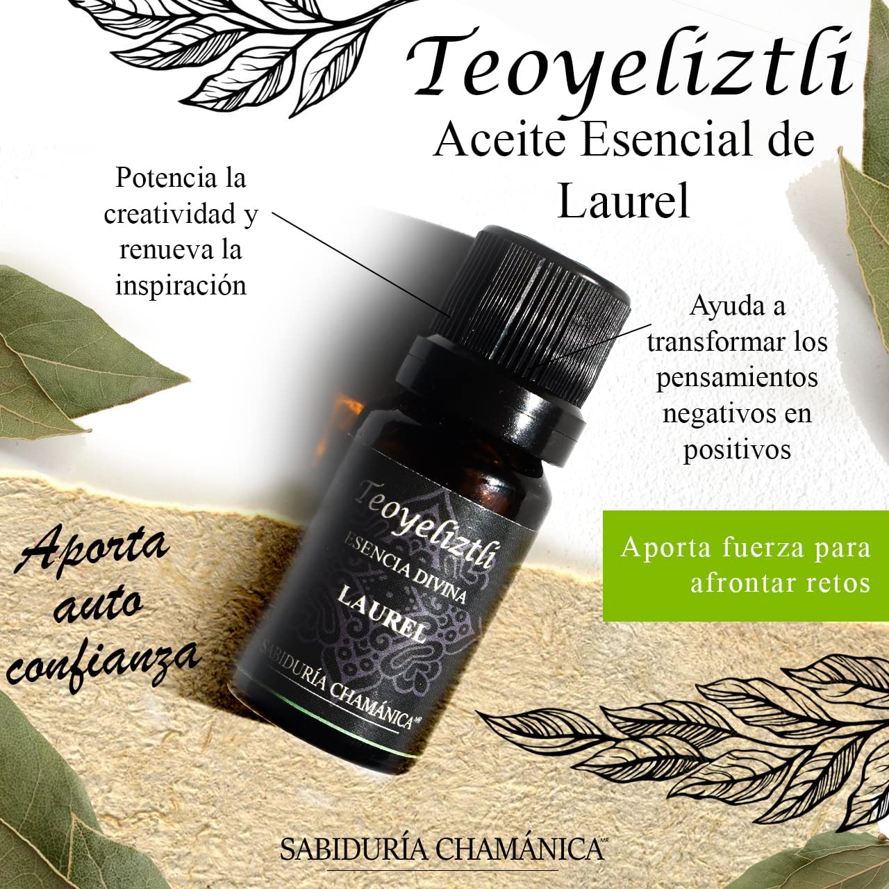 Aceite Esencial Laurel Aromaterapia, difusor, hierbas, baños, splash, relajación, incienso, masajes, hidratación, meditación, yoga, bienestar, calma, paz, estres, relajante, aroma, frutal, herbal, bosque, naturaleza, esencia,