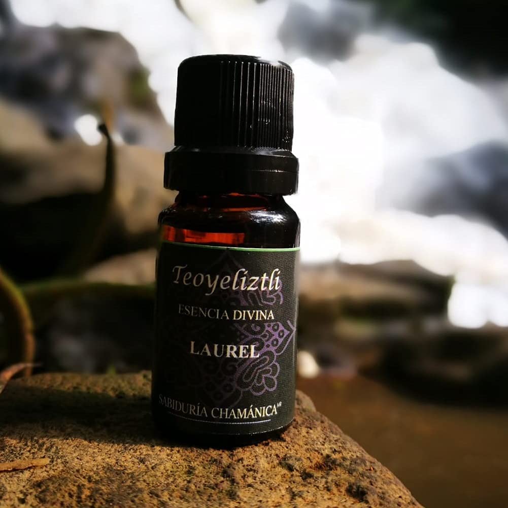 Aceite Esencial Laurel Aromaterapia, difusor, hierbas, baños, splash, relajación, incienso, masajes, hidratación, meditación, yoga, bienestar, calma, paz, estres, relajante, aroma, frutal, herbal, bosque, naturaleza, esencia,