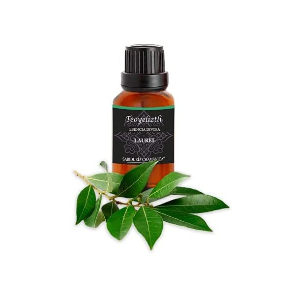 Aceite Esencial Laurel Aromaterapia, difusor, hierbas, baños, splash, relajación, incienso, masajes, hidratación, meditación, yoga, bienestar, calma, paz, estres, relajante, aroma, frutal, herbal, bosque, naturaleza, esencia,