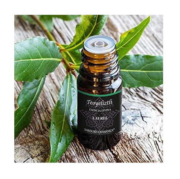 Aceite Esencial Laurel Aromaterapia, difusor, hierbas, baños, splash, relajación, incienso, masajes, hidratación, meditación, yoga, bienestar, calma, paz, estres, relajante, aroma, frutal, herbal, bosque, naturaleza, esencia,