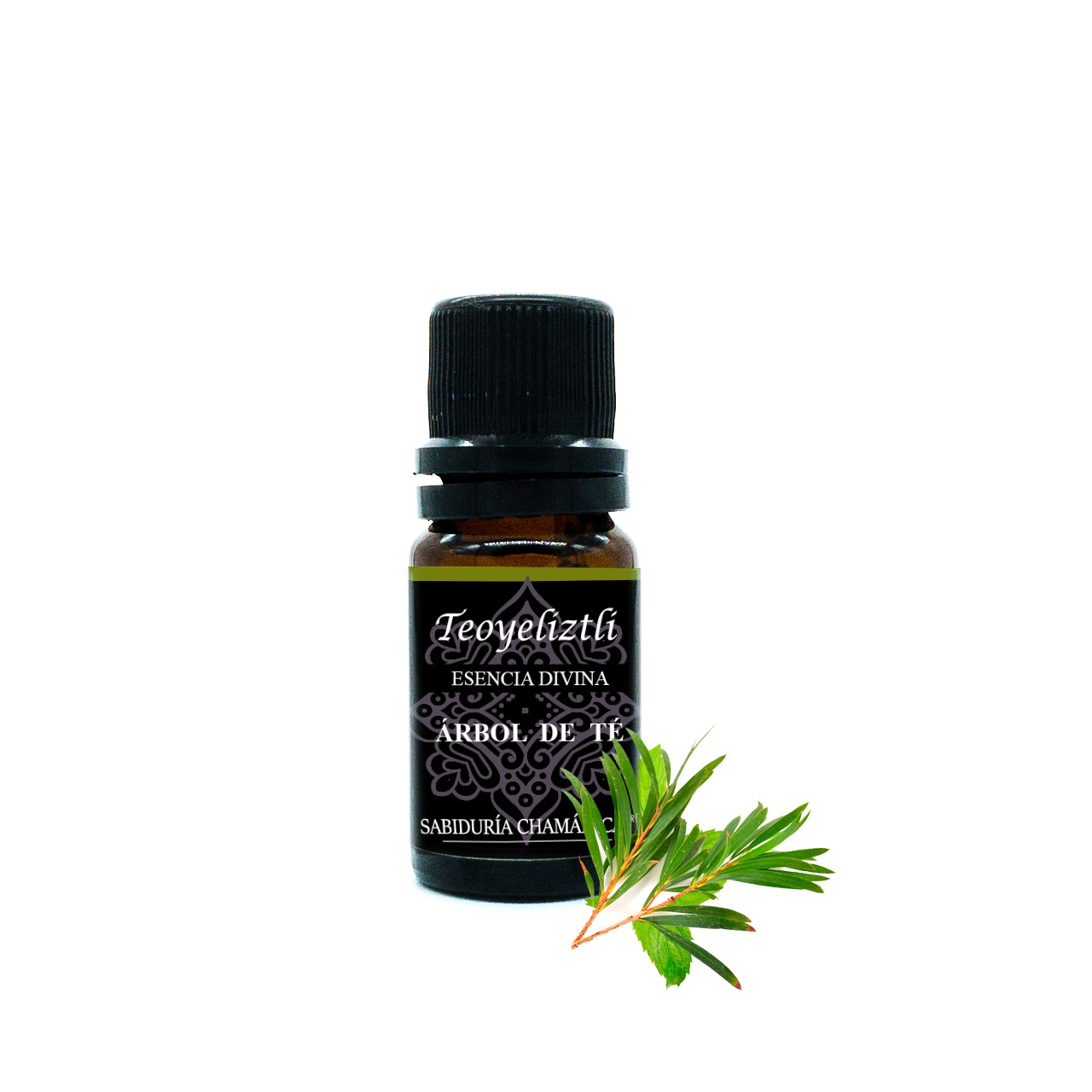 Aceite Esencial Árbol de Té Aromaterapia, difusor, hierbas, baños, splash, relajación, incienso, masajes, hidratación, meditación, yoga, bienestar, calma, paz, estres, relajante, aroma, frutal, herbal, bosque, naturaleza, esencia,