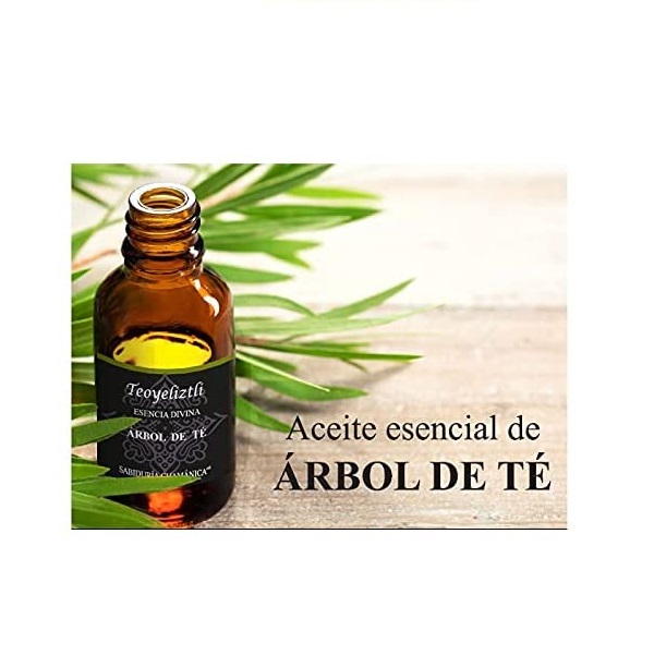 Aceite Esencial Árbol de Té Aromaterapia, difusor, hierbas, baños, splash, relajación, incienso, masajes, hidratación, meditación, yoga, bienestar, calma, paz, estres, relajante, aroma, frutal, herbal, bosque, naturaleza, esencia,