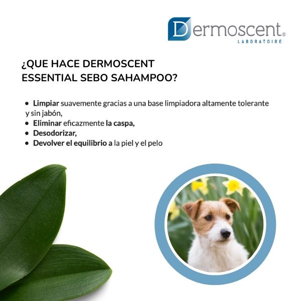 Essential 6 Shampoo Antiseborrea Perros 200 Ml Dermoscent