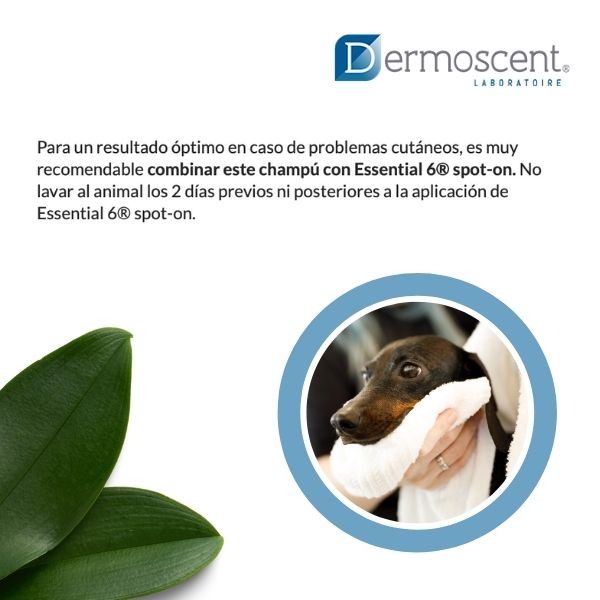 Essential 6 Shampoo Antiseborrea Perros 200 Ml Dermoscent