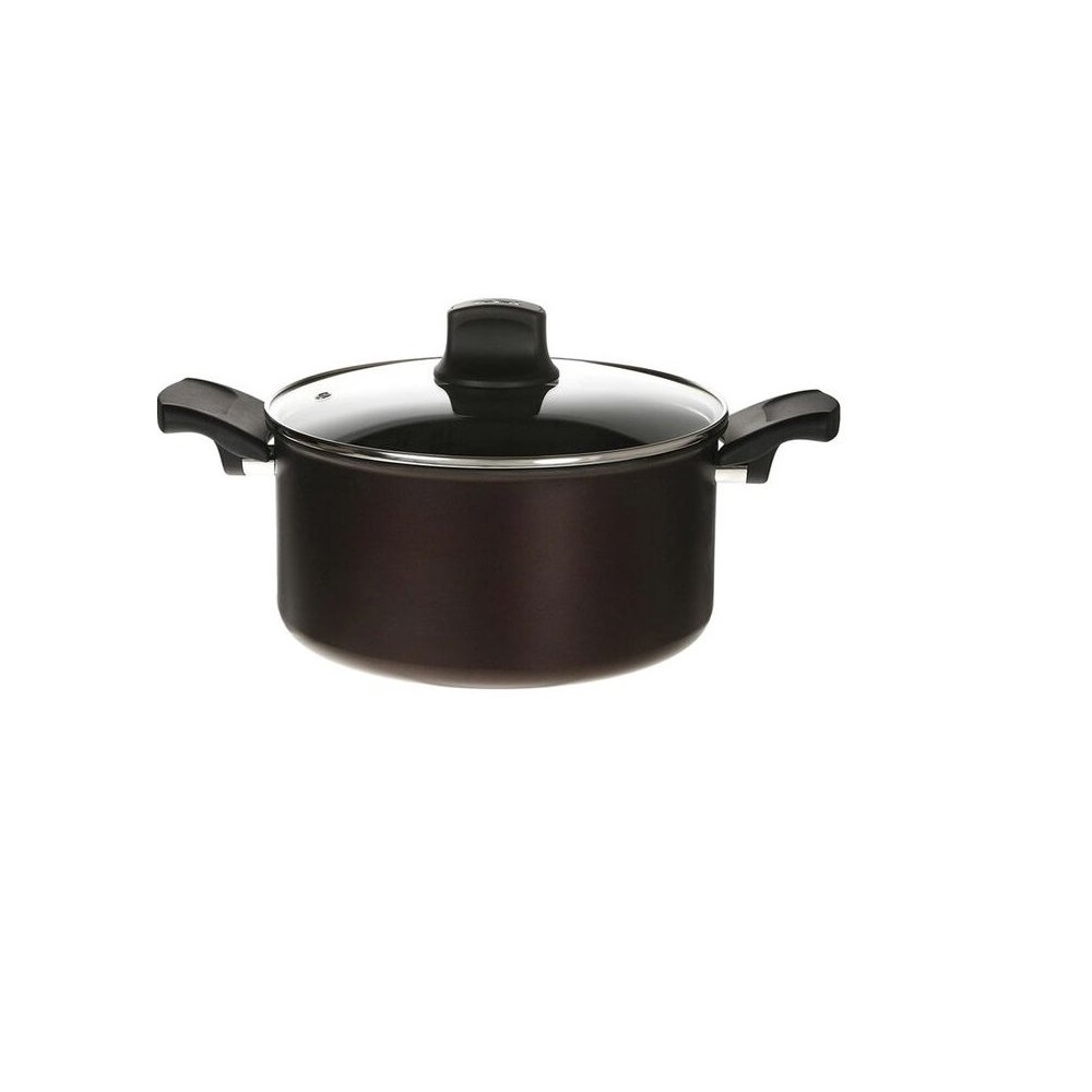 Olla 24 Cms Tfal Titanium Signature C6874602 Titanio