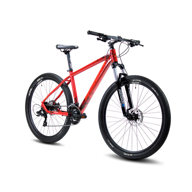 Bicicleta MTB Sierra R-29 24 Vel. Alubike