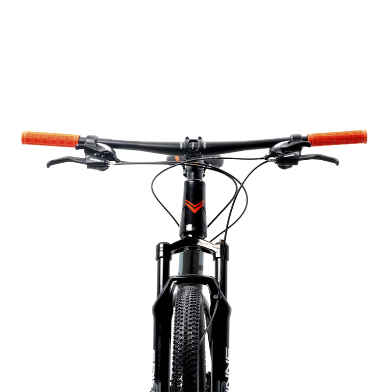 Bicicleta bimex outlet serie 29