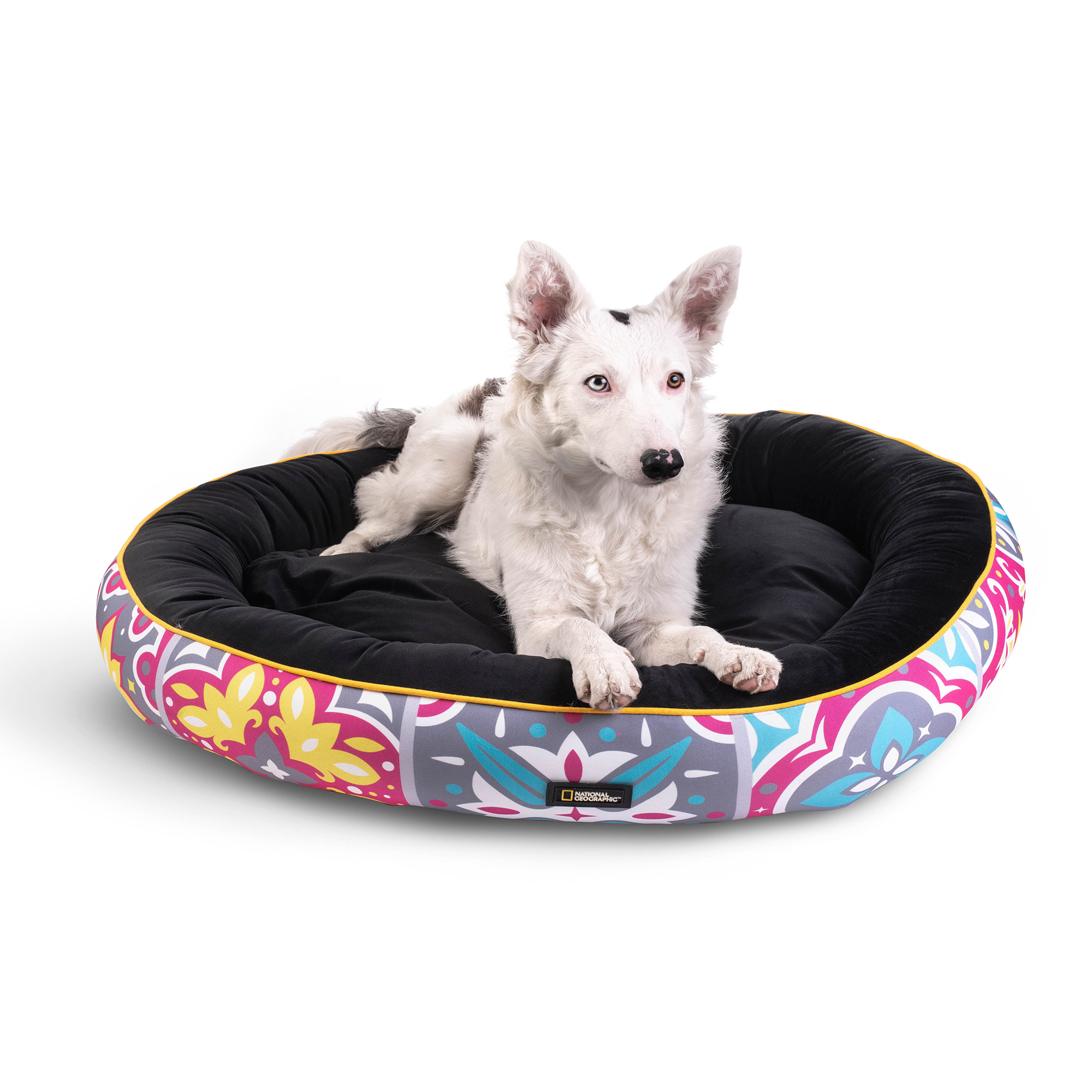 National Geographic Cama para Perro Apolo Portugal Extra Grande