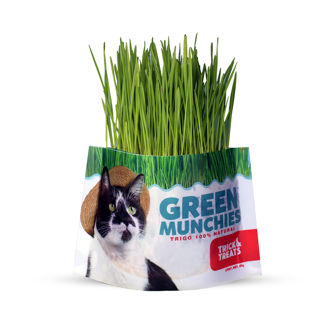 Pasto de trigo para gatos Green Munchies Trick & Treats, 100% Natural para consentir y premiar a tu gato, 50 g.