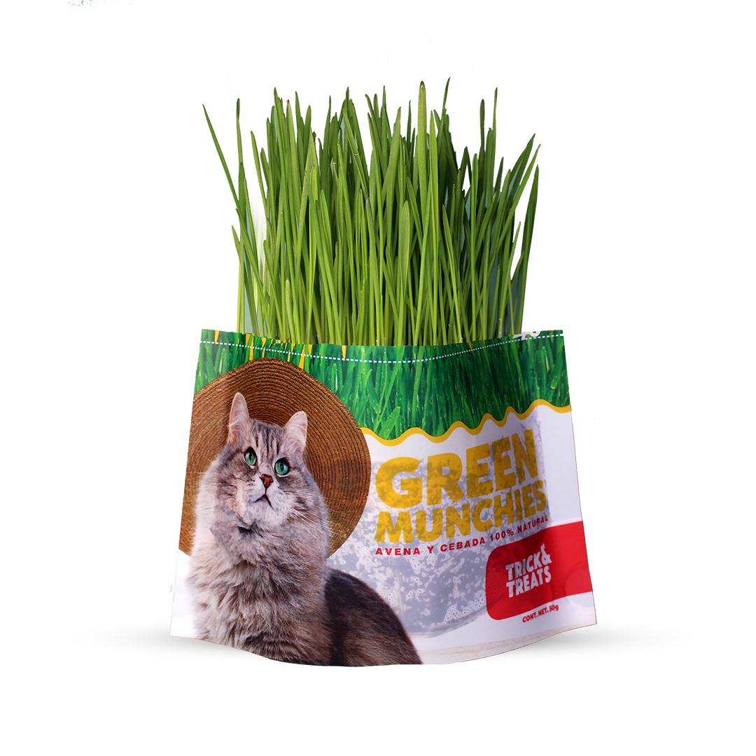 Pasto de Avena y Cebada para gatos Green Munchies Trick & Treats, 100% Natural para consentir y premiar a tu gato, 50 g.