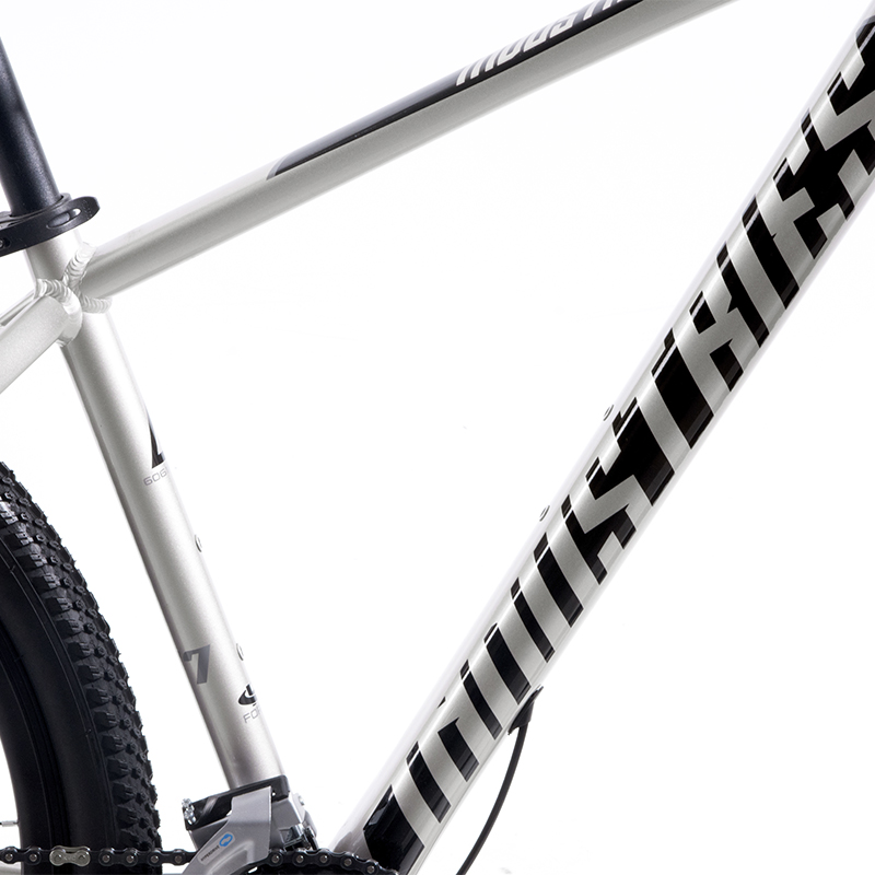 Bicicleta V Industries 925 Rodada 29 T17 Gris De Montaña