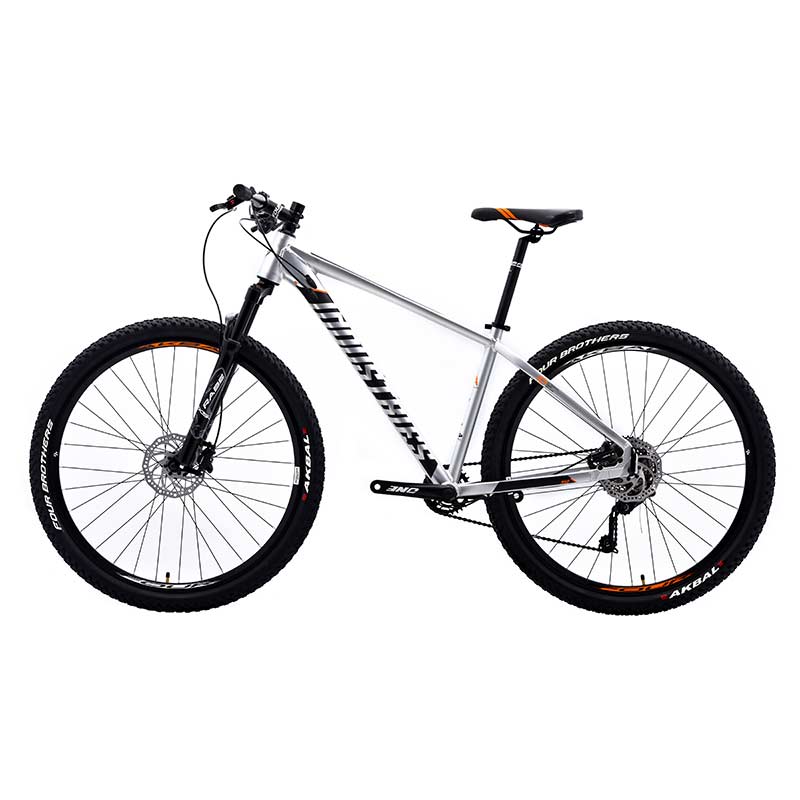 Bicicleta  V Industries 950 Rodada 29 Plata De Montaña