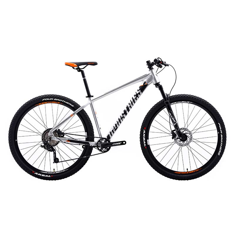 Bicicleta  V Industries 950 Rodada 29 Plata De Montaña