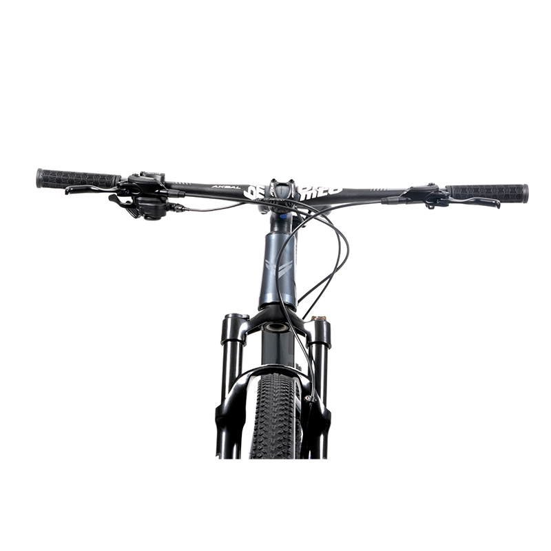 Bicicleta V Industries 950 Rodada 29 T17 Azul De Montaña