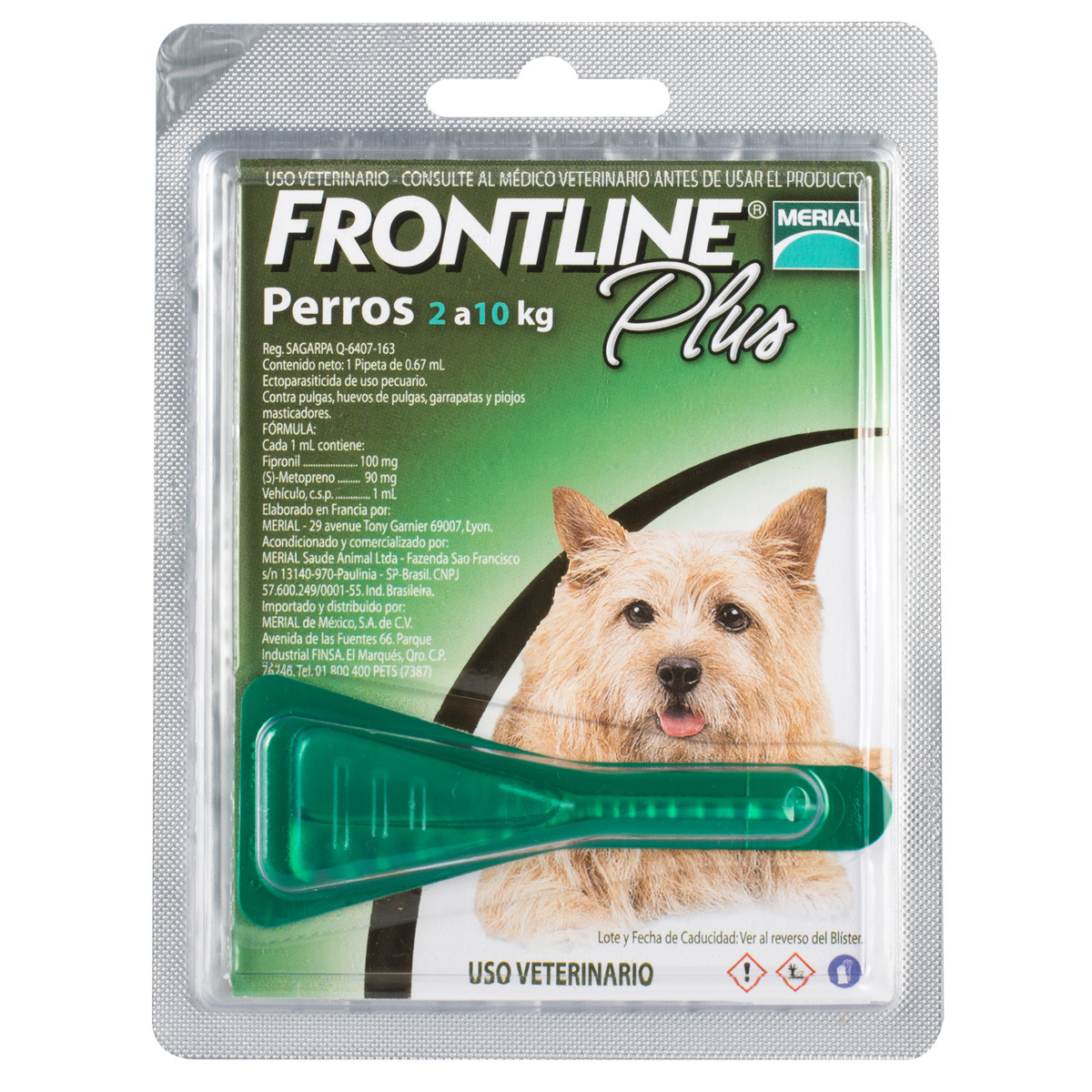 Frontline Plus Perros 2 a 10 kg 1 Pipeta
