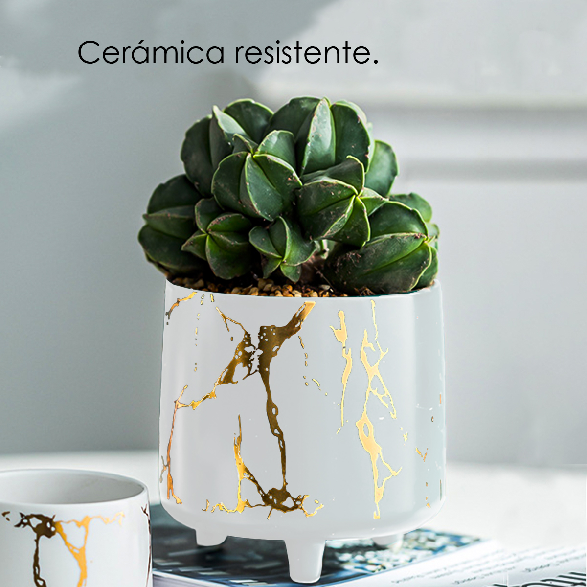 Macetero diseño craquelado maceta redondainterior/exterior (Blanco)