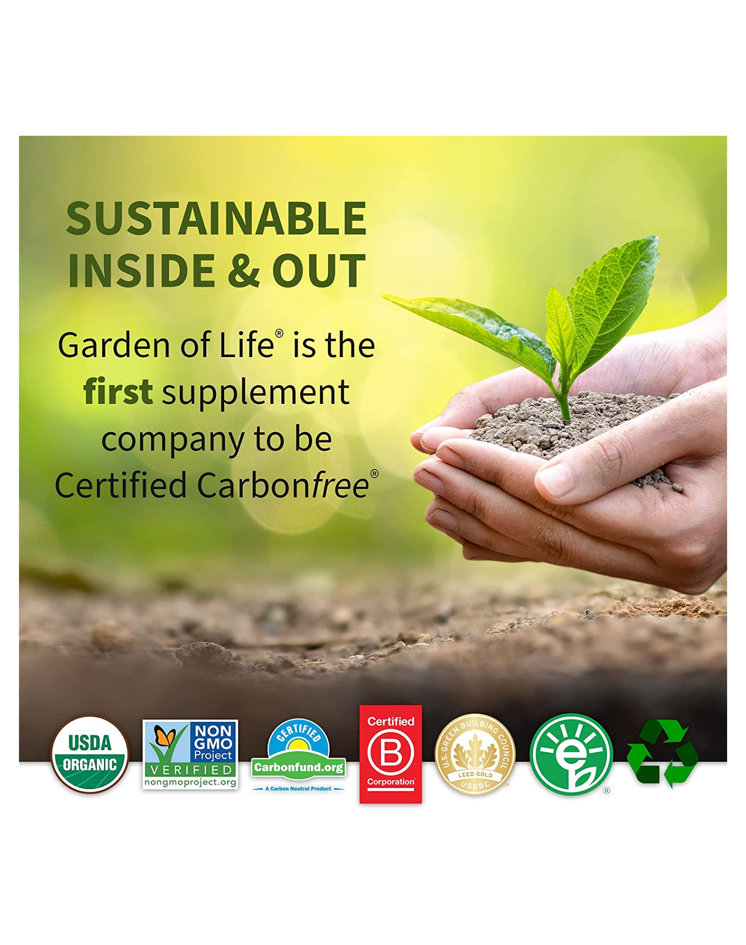 GARDEN OF LIFE OCEANS KIDS 120CT ACEITE DE PESCADO CAPSULAS BLANDAS MASTICABLES SABOR BERRY-LIME VITAMINA OMEGA 3 NIÑOS ANTIOXIDANTE