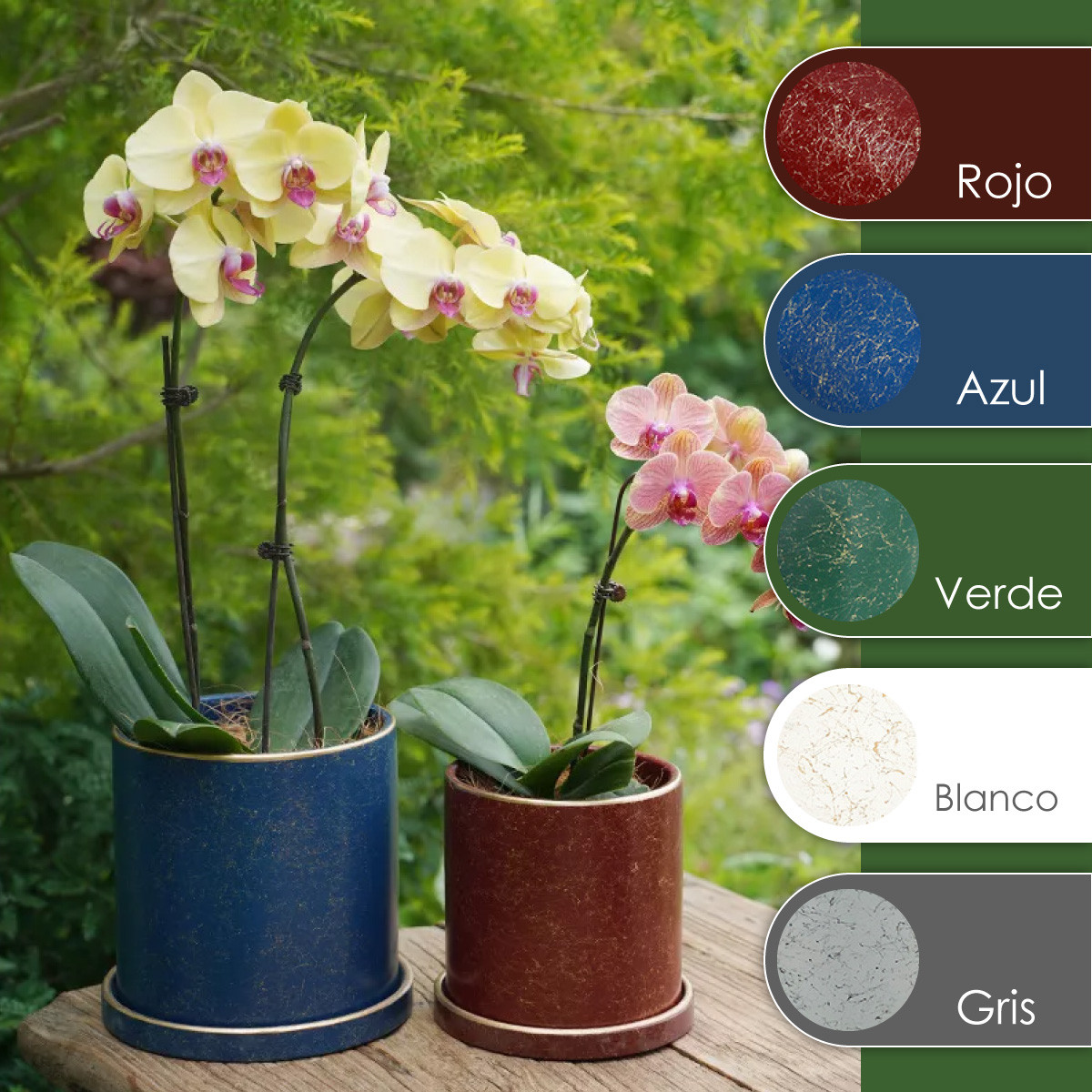 Ilios Innova Macetero borde dorado 18 cm alto, maceta de cerámica con plato de base, Elegante maceta para flores.